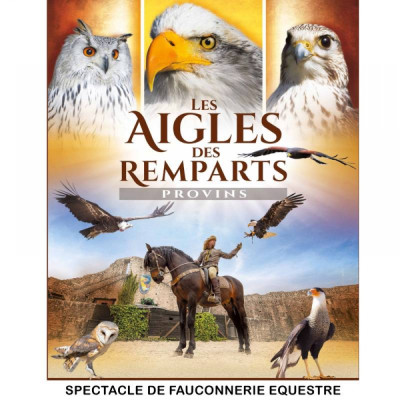 Provins - Les Aigles des Remparts