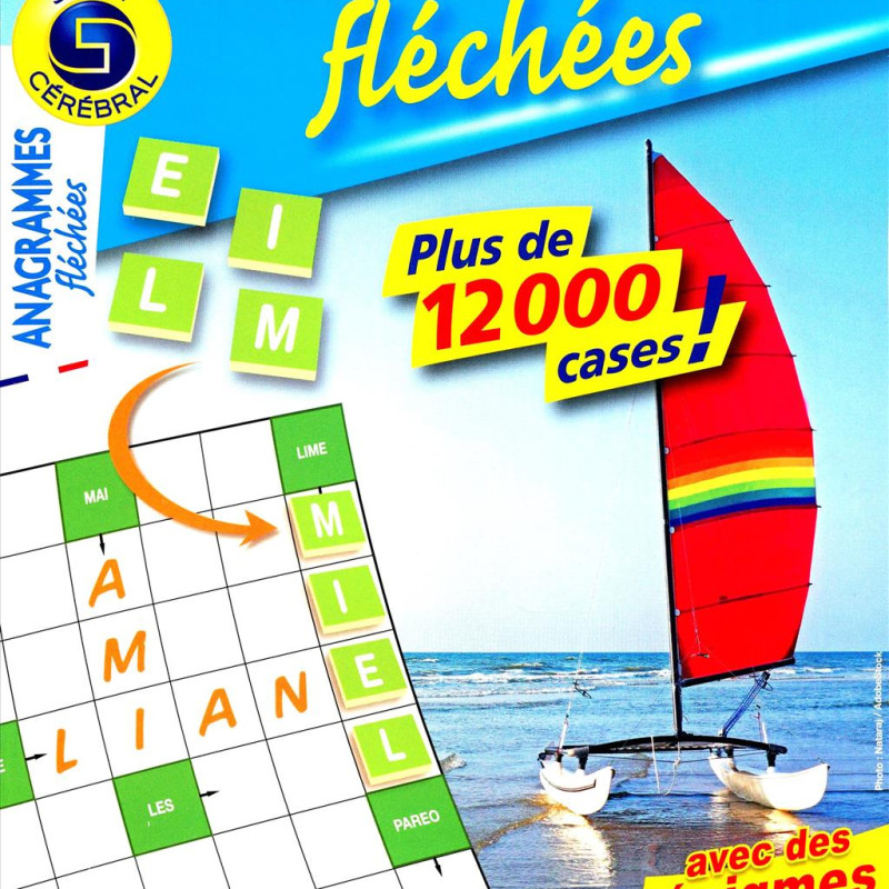 ANAGRAMMES FLECHES 