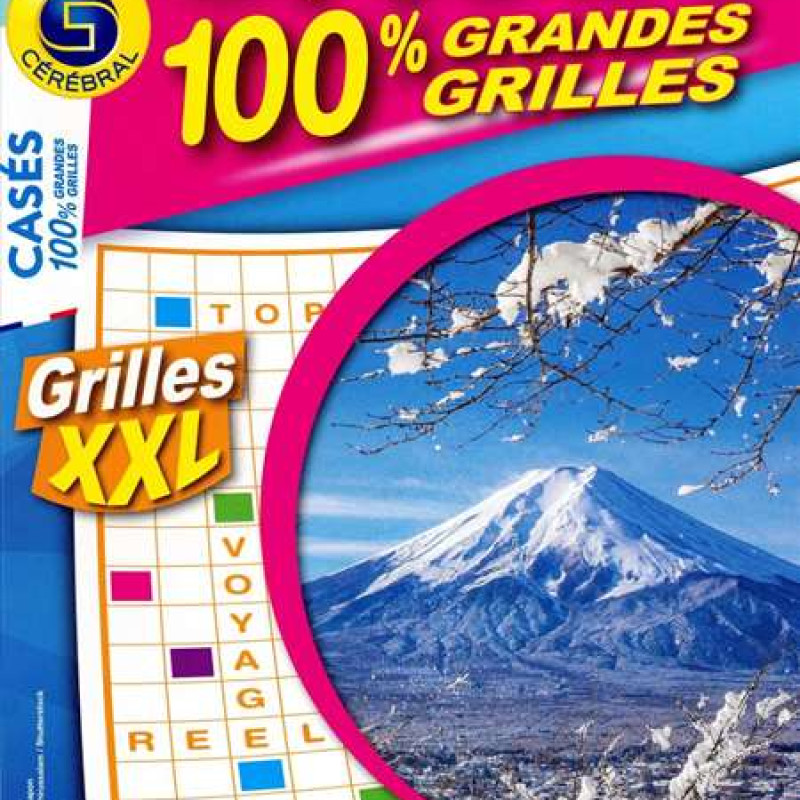 CASES 100 % GRANDES GRILLES 