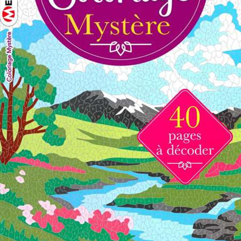 COLORIAGE MYSTERE 