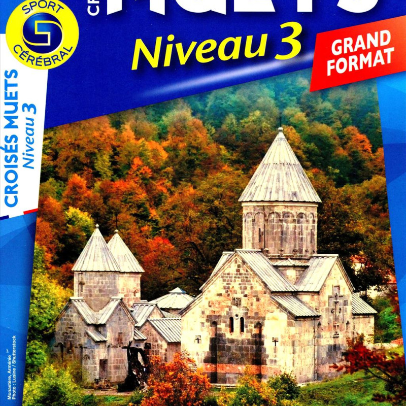 CROISES MUETS NIVEAU 3 GF 